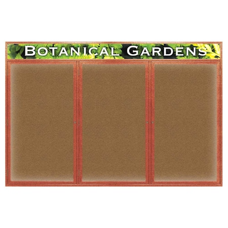 United Visual Products Open Faced Traditional Rounded Corkboard UV642ARC-BLACK-CORK